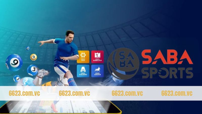 Điểm nổi trội thu hút thành viên của Saba sports